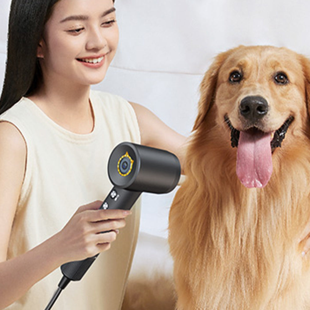 Bopcal 885 High Speed Hair Dryer